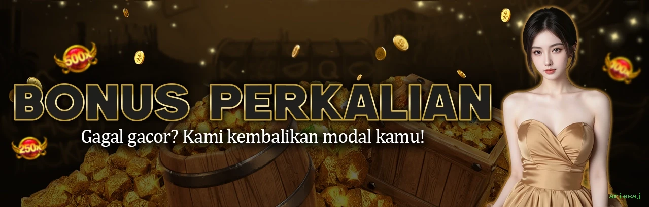 Download ariesaj